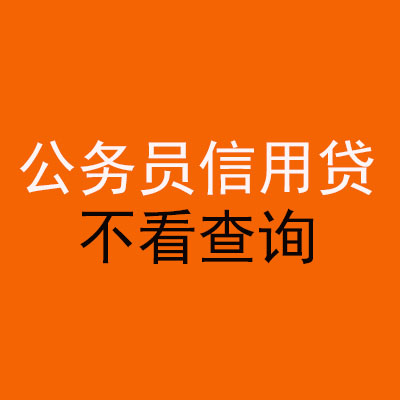 宝丰公务员信用贷款