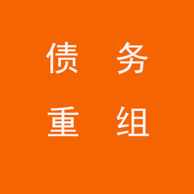 宝丰个人债务重组优化